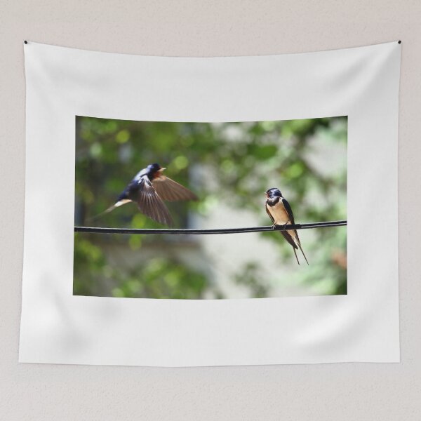 Item preview, A swallow is standing on the wire and the other one is flying designed and sold by goceris.