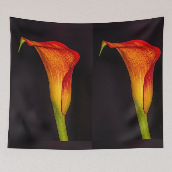 Item preview, Calla Lily 5 designed and sold by Steve Purnell Photography.