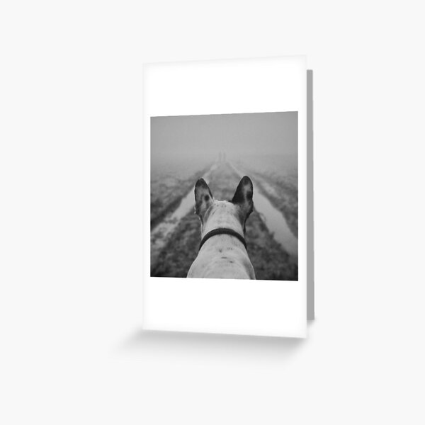 Friends Greeting Card