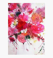 romantic pink roses Photographic Print