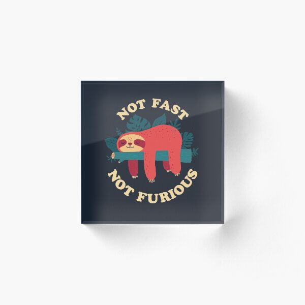 Not Fast, Not Furious Acrylic Block