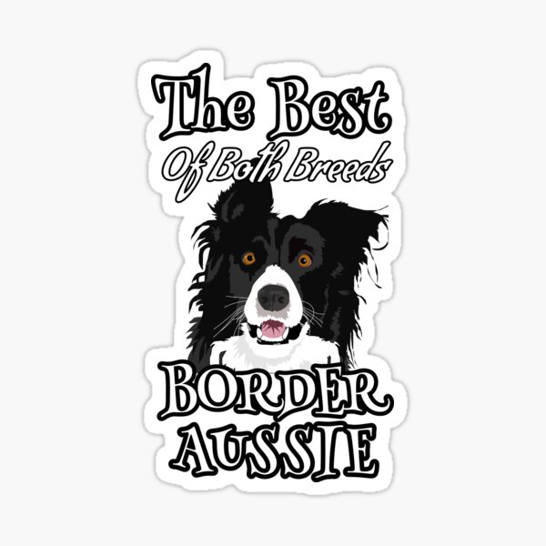 Border Aussie The Best of Both Breeds Sticker