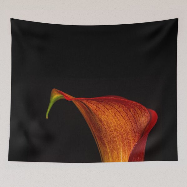 Item preview, Calla Lily 6 designed and sold by Steve Purnell Photography.