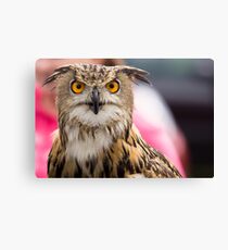 Stare Canvas Print
