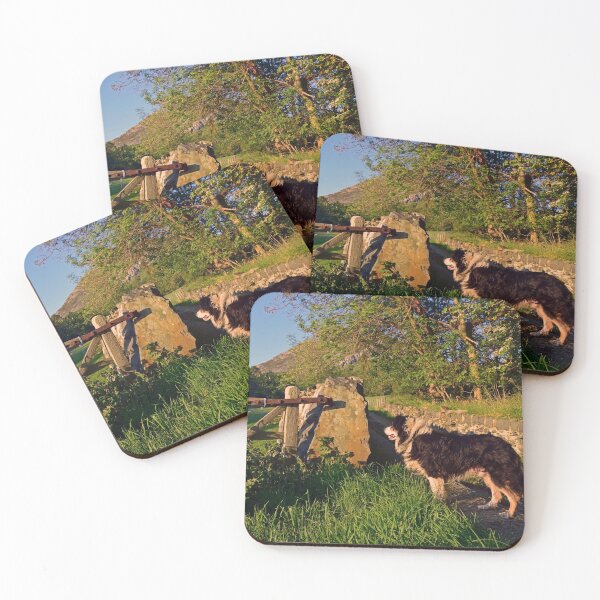 Item preview, Sheepdog Dreams. designed and sold by Michael Haslam.