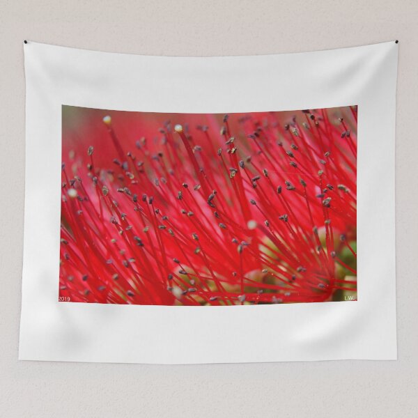 Item preview, Bottlebrush Close Up designed and sold by LisaWootenPhoto.