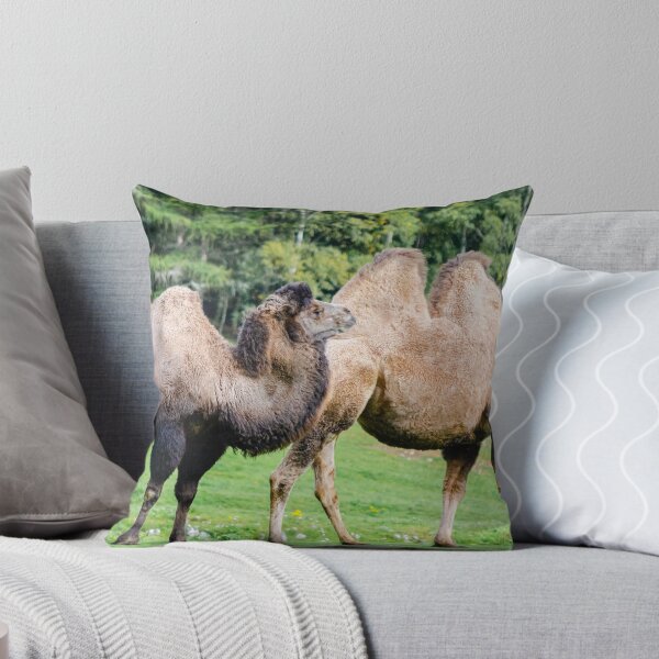 Item preview, Bactrian camels (Camelus bactrianus) designed and sold by Logopad.