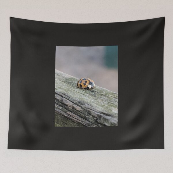 Item preview, Ladybug designed and sold by wingsonafield.