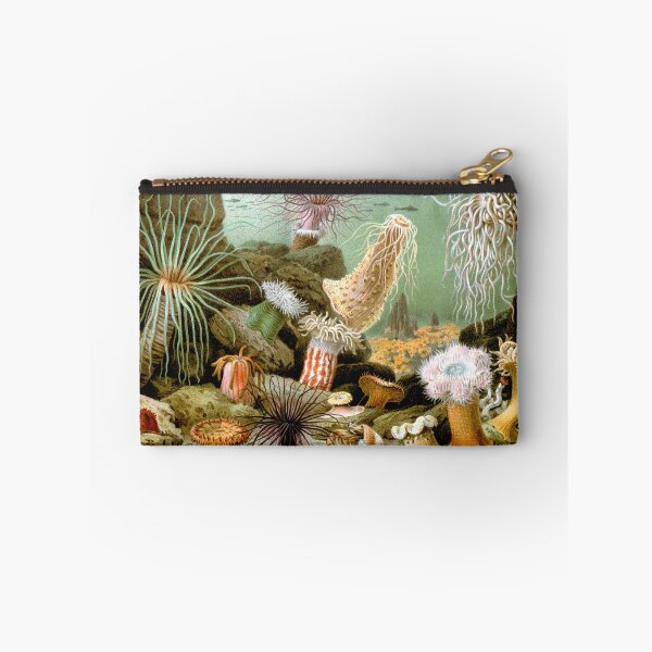 Item preview, SEA ANEMONES ,OCEAN SEA LIFE SCENE ACTINIARIA designed and sold by BulganLumini.