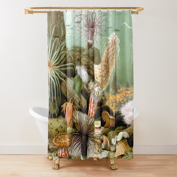 SEA ANEMONES ,OCEAN SEA LIFE SCENE ACTINIARIA Shower Curtain