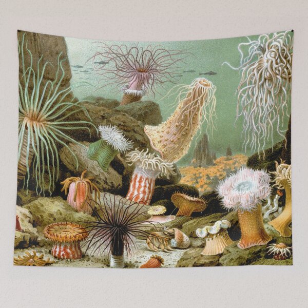 Item preview, SEA ANEMONES ,OCEAN SEA LIFE SCENE ACTINIARIA designed and sold by BulganLumini.