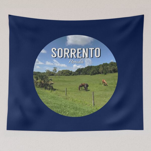 Item preview, Sorrento, Florida designed and sold by HawkstoneDesign.