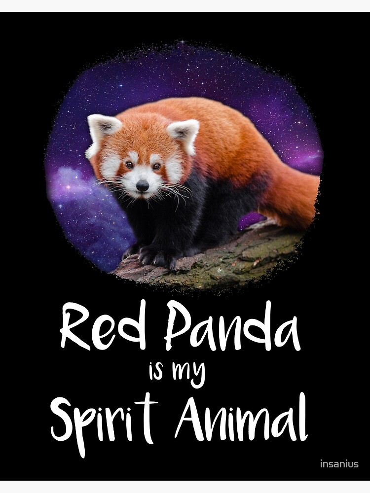 Red Panda is my Spirit Animal Red Panda Lover Red Panda Love Ailurus  fulgens