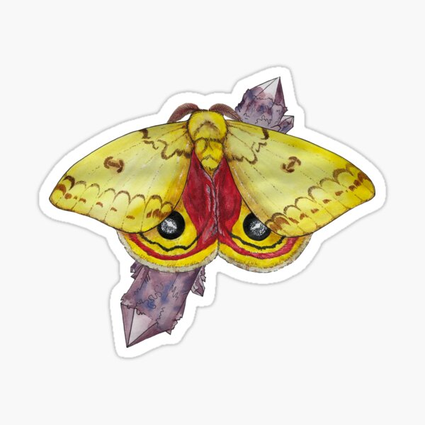 Sticker: IO Moth