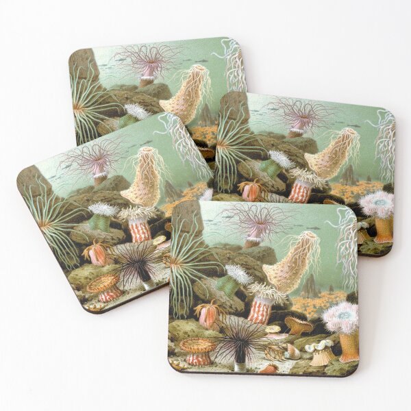 Item preview, SEA ANEMONES ,OCEAN SEA LIFE SCENE ACTINIARIA designed and sold by BulganLumini.