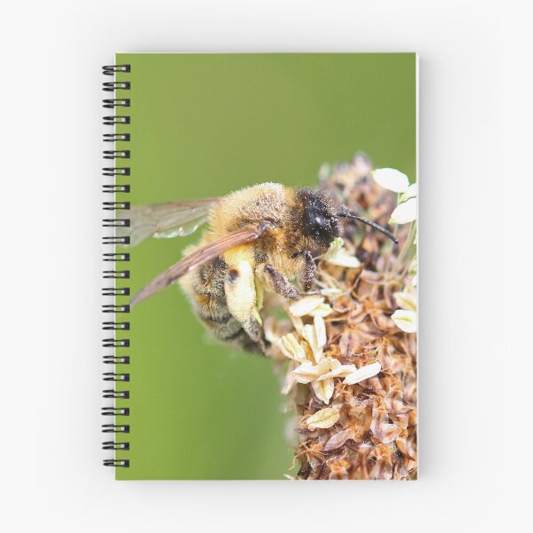 Item preview, Bee collecting pollen designed and sold by GreyFeatherPhot.