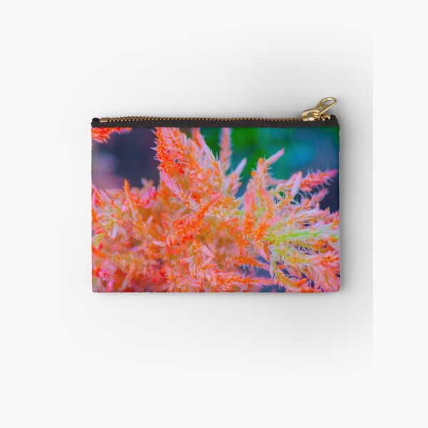 Item preview, plumas. celosia plumosa designed and sold by Tereza Pilar  Art.