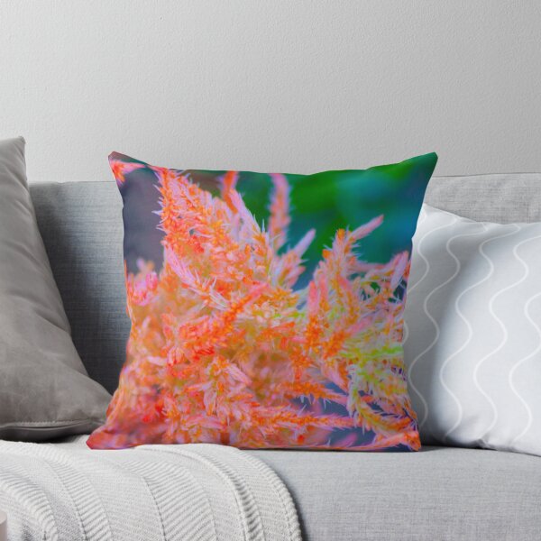 Item preview, plumas. celosia plumosa designed and sold by Tereza Pilar  Art.