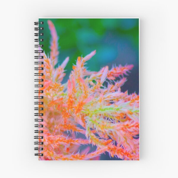 Item preview, plumas. celosia plumosa designed and sold by Tereza Pilar  Art.