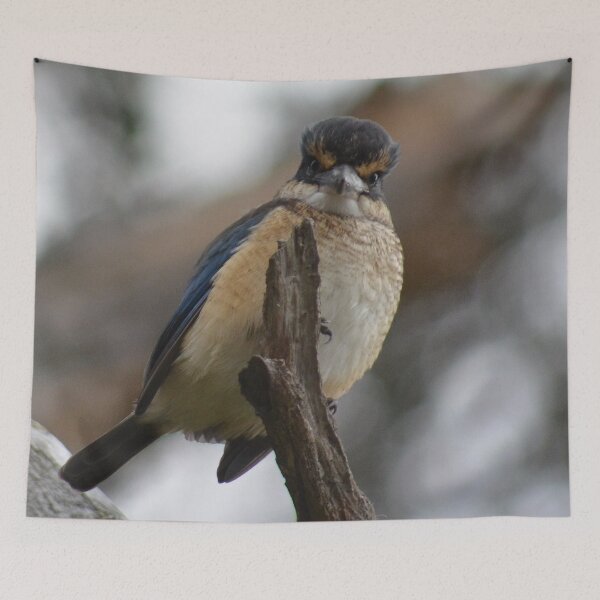 Item preview, Bad Hair Day- New Zealand Birds designed and sold by lizdomett.