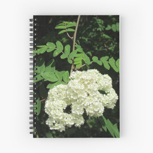 Item preview, Rowan Flowers designed and sold by lezvee.