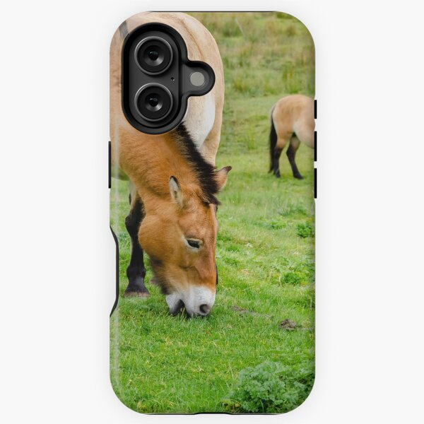 Aperçu de l'œuvre Deux poneys sauvages d'Asie paissant dans un pâturage créée et vendue par Logopad.
