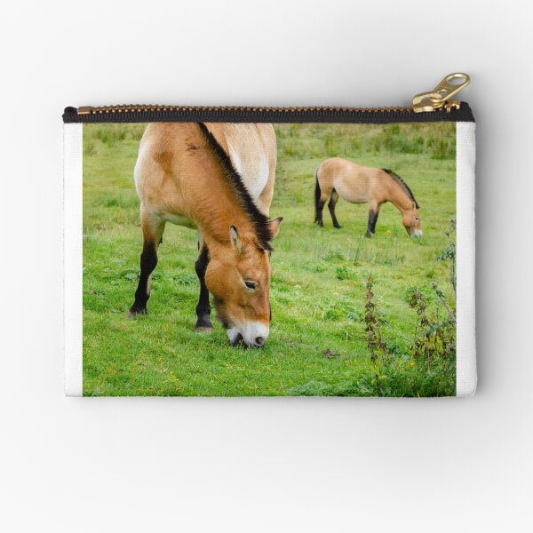 Aperçu de l'œuvre Deux poneys sauvages d'Asie paissant dans un pâturage créée et vendue par Logopad.