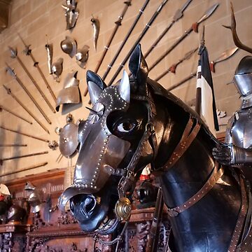 Artwork thumbnail, Medieval armour of the horse at Warwick Castle  by santoshputhran