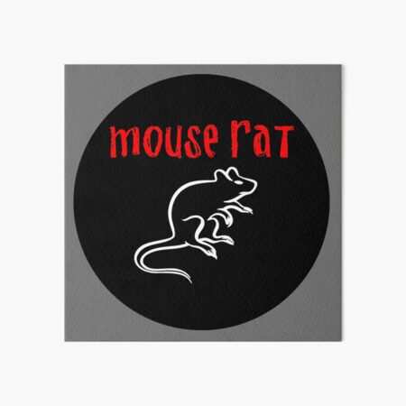Mouse Rat Art Board Print