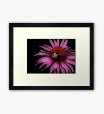 Bumble Framed Print