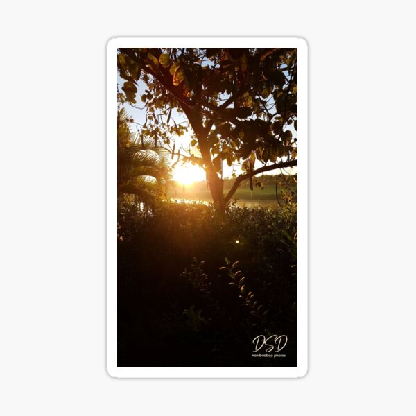 DSD Bahamas Sunrise 003 Sticker