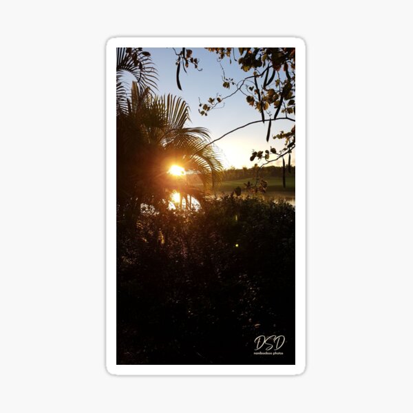 DSD Bahamas Sunrise 004 Sticker
