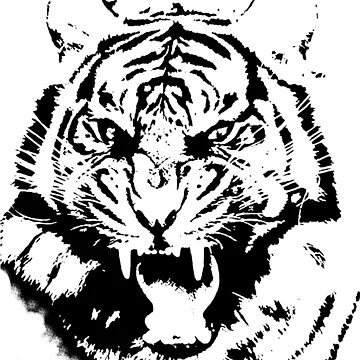 Artwork thumbnail, Furious Tiger by Roland1980