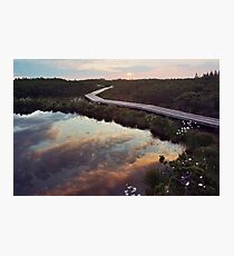 Bog dawn Photographic Print