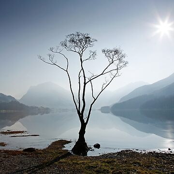 Artwork thumbnail, Morning Mist on Buttermere by Martin Lawrence