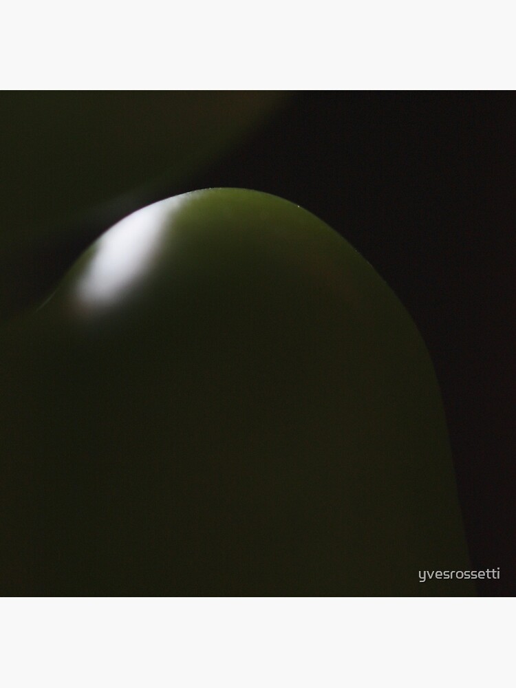 dark green light by yvesrossetti