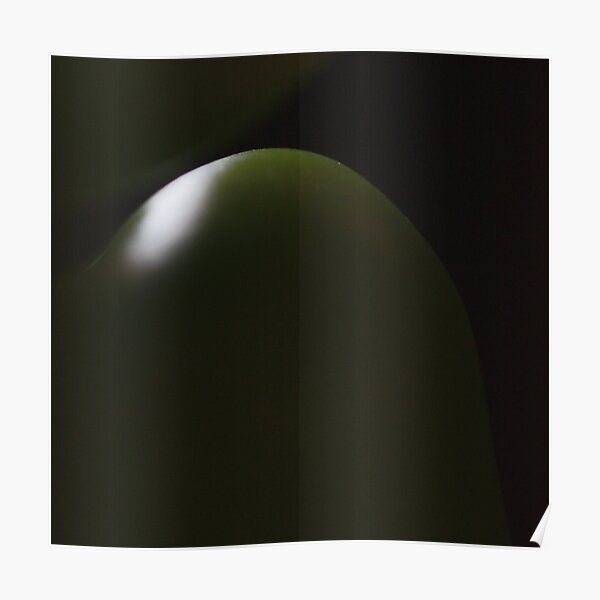 dark green light Poster