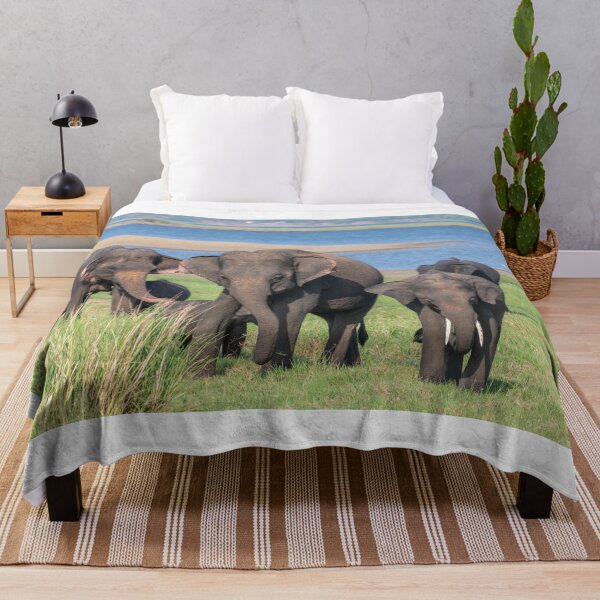Item preview, SriLankan Elephant Safari designed and sold by JohnKarmouche.
