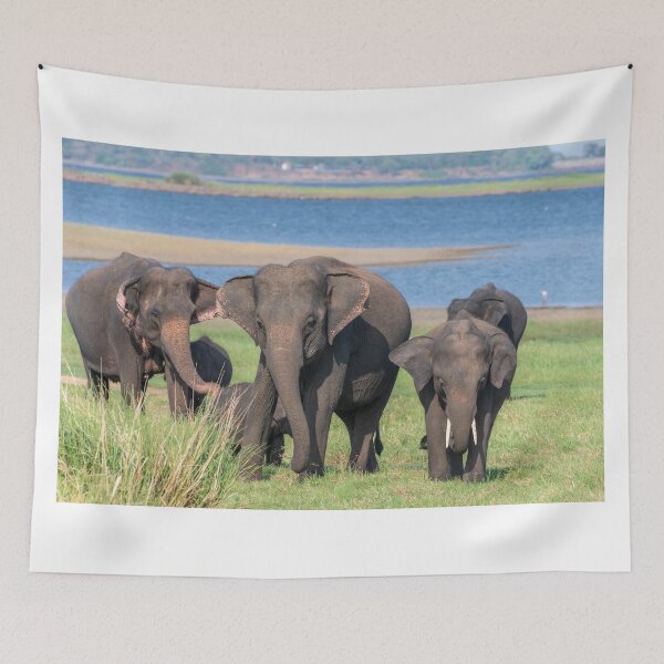 Item preview, SriLankan Elephant Safari designed and sold by JohnKarmouche.