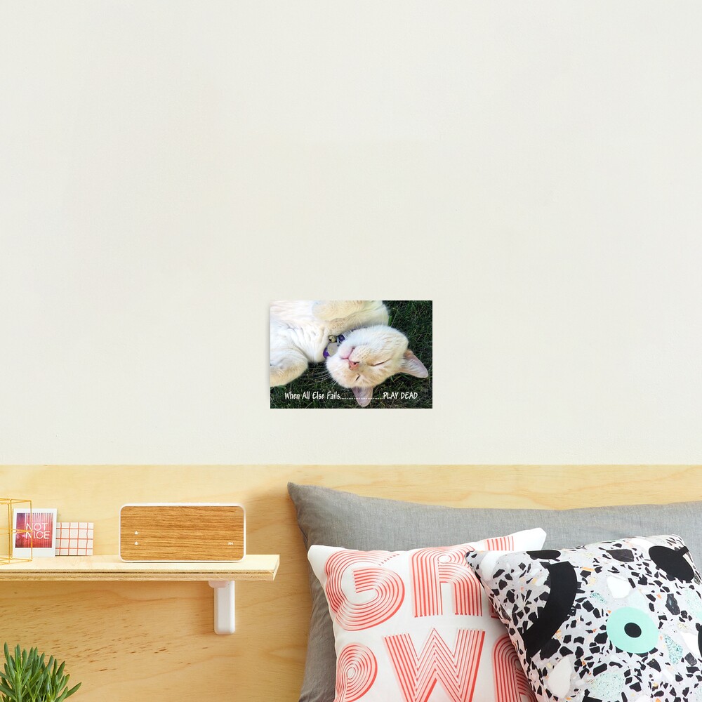 Item preview, Photographic Print designed and sold by RuthPalmer.