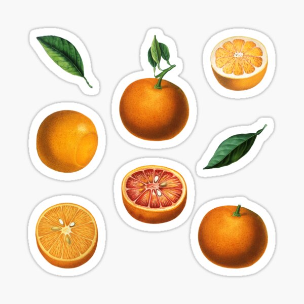 Orange Citrus Stickers Nr. 1 Sticker