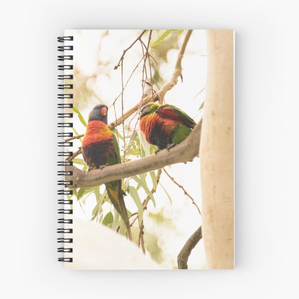 Item preview, Rainbow Lorikeets designed and sold by imaginethis.