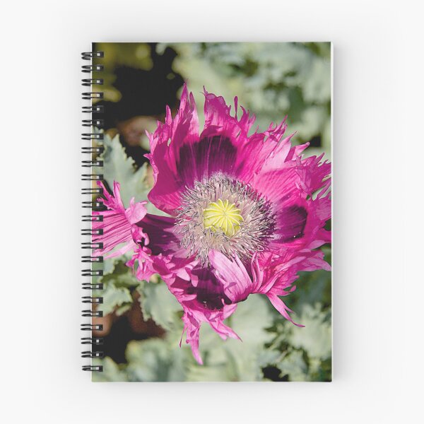 Item preview, Opium designed and sold by John Thurgood.