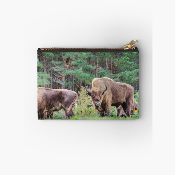 Item preview, A small herd of European Bison designed and sold by Logopad.
