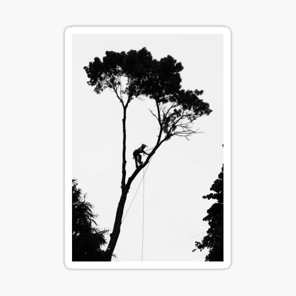 Arborist 2, Madison, WI Sticker