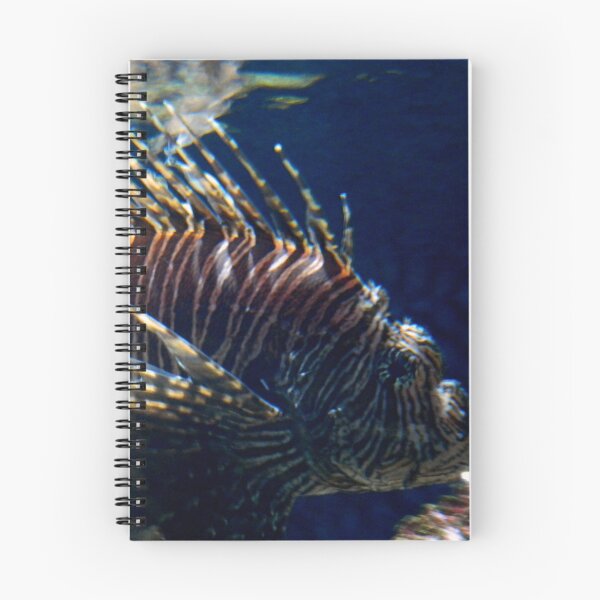 Item preview, Lionfish (Pterois volitans)    ^ designed and sold by ctheworld.