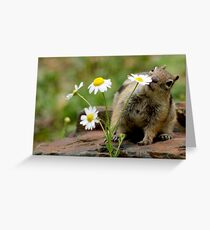 Chippy Greeting Card
