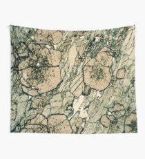Granatkristalle in Pyroxen & Quarz Wandbehang