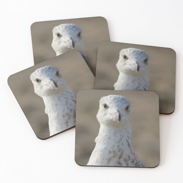 Item preview, Bird designed and sold by Marije Kouyzer.