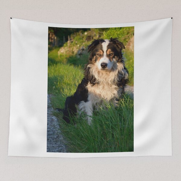 Item preview, My name is Laddie. designed and sold by Michael Haslam.